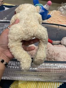 Collectible Teddy Bear
