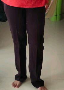 Formal Pant Brown Color For Women