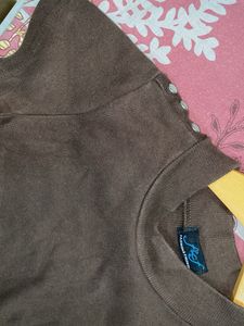 Brown Fitted Top Women