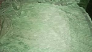 Green Sheer Top