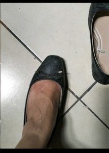 Used Branded Bellies