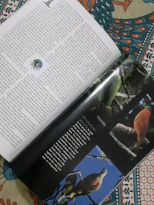 Nat Geo Magazine (mar 2003)