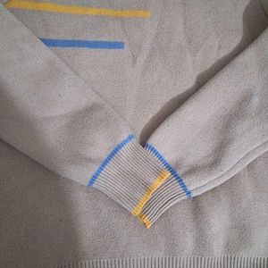 Stylish Turtleneck Sweater