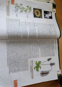 BIOLOGY class 12th NCERT book