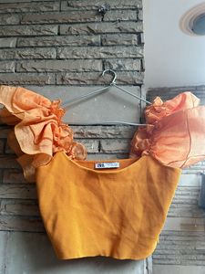 Zara Organza Sleeves Crop Top