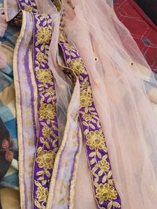 lehenga Choli Netted