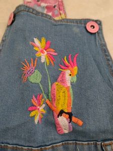 Cute Denim Overalls