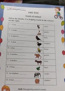Worksheet