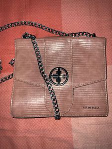 Allen Solly Pink Chain Bag