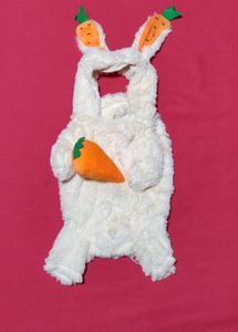 small dog and cat  Rabbit Dress