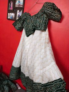 Navratri Chaniya Choli 2