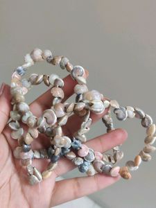 Seashell Neckpiece Unused