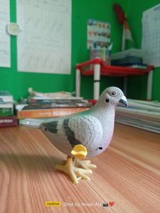 Toy Pigeon