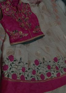 Embroidered Lehenga Choli Set