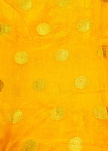 Haladi Function Saree