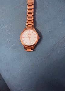 Timex Watch each