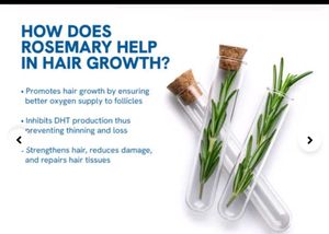 Sealed - Bebodywise Hair Growth Serum Roll On