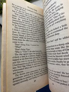 The Great Gatsby by F. Scott Fitzgerald