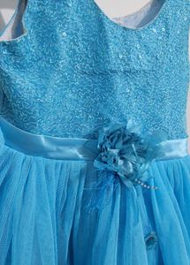 Sparkly Blue Tulle Dress