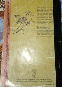 English Texbooks Class 11