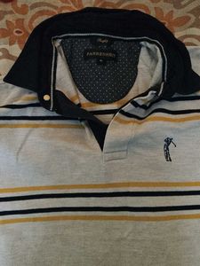 Striped Polo Shirt