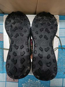 New ADIDAS Shoes