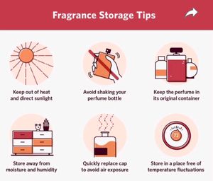 WILDPLAY PREMIUM PERFUME FOR MEN/WOMEN COMBO