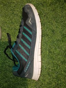 Campus Running Shoes