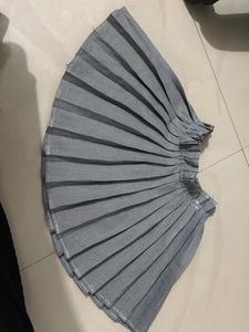 Pleated Skirt
