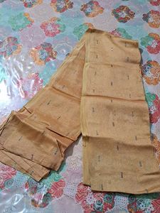 Colorful Dupatta Collection
