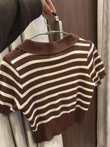 Striped Brown Knit Top