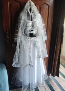 Wedding party Wear Lehenga Choli With Beautiful Du