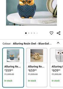 Lucky Owl Resin Product