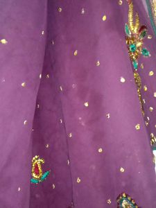Beautiful Saree..