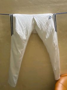 Adidas Women Track Pants