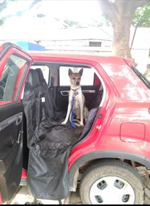 Pet Car Seat Cover