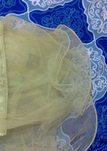 Gown
