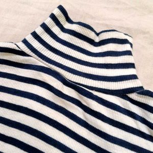 Striped Turtleneck ribbed Top