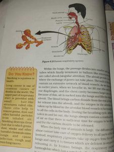 Information Technology + Science Ncert+ Biology