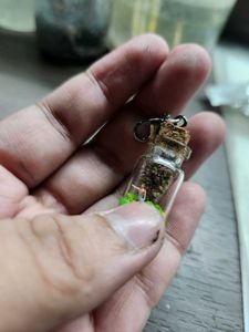 Tiny Tree in a Bottle Charm- Handmade