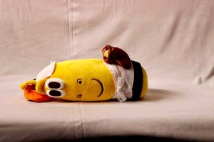 Larva Island Plush Toy