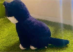 Cat Soft Toy