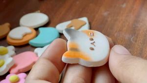 Clay Toy Which Has Magnet