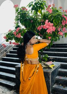 Elegant Lehenga Choli