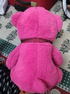 Pink Teddy Bear