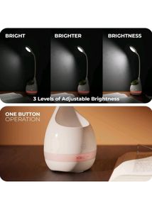 Multifunctional Desk Lamp