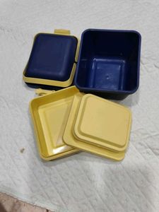 Less Used Lunch Box (Twice Use)