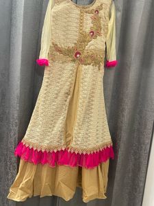 Elegant Ethnic Gown