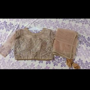 Elegant Embroidered Lehenga Set