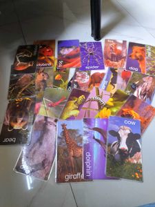 Einstein Cards From the US